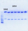Thumbnail for version as of 14:43, 26 September 2013