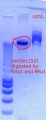 Thumbnail for version as of 10:18, 7 February 2012