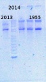 Thumbnail for version as of 14:42, 14 February 2014