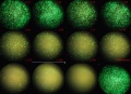 Thumbnail for version as of 12:09, 30 September 2011