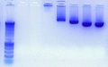 Thumbnail for version as of 13:07, 18 February 2011