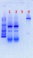 Thumbnail for version as of 14:30, 15 June 2012