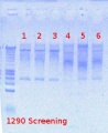 Thumbnail for version as of 12:45, 7 August 2012