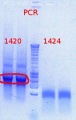 Thumbnail for version as of 14:05, 24 October 2012