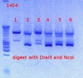 Thumbnail for version as of 16:04, 16 November 2012