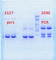 Thumbnail for version as of 15:18, 24 March 2014