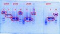 Thumbnail for version as of 17:25, 14 February 2014