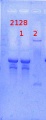Thumbnail for version as of 14:13, 4 April 2014