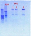 Thumbnail for version as of 12:51, 9 January 2012