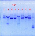 Thumbnail for version as of 15:56, 13 September 2013