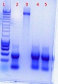 Thumbnail for version as of 17:03, 13 July 2011