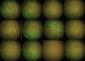 Thumbnail for version as of 09:49, 15 April 2011