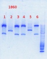 Thumbnail for version as of 10:46, 23 October 2013