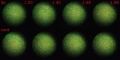 Thumbnail for version as of 16:48, 10 January 2012