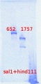Thumbnail for version as of 14:46, 12 June 2013