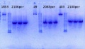 Thumbnail for version as of 17:17, 6 March 2014