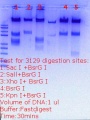 Thumbnail for version as of 14:47, 1 March 2018