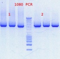 Thumbnail for version as of 15:29, 20 April 2012