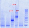 Thumbnail for version as of 12:25, 20 December 2012