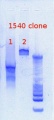 Thumbnail for version as of 10:24, 22 January 2013
