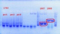 Thumbnail for version as of 14:56, 2 August 2013