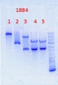 Thumbnail for version as of 10:59, 24 October 2013