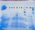 Thumbnail for version as of 17:07, 18 June 2014