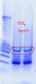 Thumbnail for version as of 14:55, 22 September 2011
