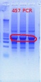 Thumbnail for version as of 12:22, 29 November 2011