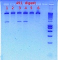 Thumbnail for version as of 15:55, 21 December 2011