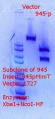 Thumbnail for version as of 19:48, 26 March 2018