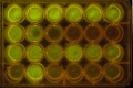 Thumbnail for version as of 11:21, 30 October 2014