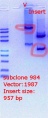 Thumbnail for version as of 21:33, 5 April 2018