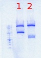 Thumbnail for version as of 16:15, 31 May 2012