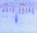 Thumbnail for version as of 13:07, 21 May 2013