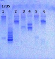 Thumbnail for version as of 16:16, 22 May 2013