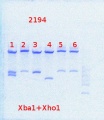 Thumbnail for version as of 12:23, 9 May 2014