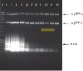 Thumbnail for version as of 10:46, 5 July 2014