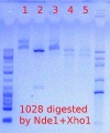 Thumbnail for version as of 14:45, 30 April 2012