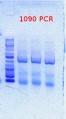 Thumbnail for version as of 09:13, 8 May 2012