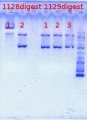 Thumbnail for version as of 14:27, 21 May 2012