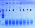 Thumbnail for version as of 14:07, 28 June 2012