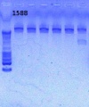 Thumbnail for version as of 15:47, 15 March 2013