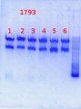 Thumbnail for version as of 14:51, 19 August 2013
