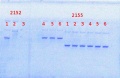 Thumbnail for version as of 15:42, 9 April 2014
