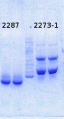 Thumbnail for version as of 12:43, 5 August 2014