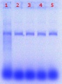Thumbnail for version as of 16:02, 24 March 2017