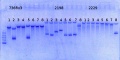 Thumbnail for version as of 17:25, 30 January 2015