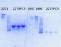 Thumbnail for version as of 12:37, 5 August 2014