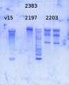 Thumbnail for version as of 18:20, 20 November 2014
